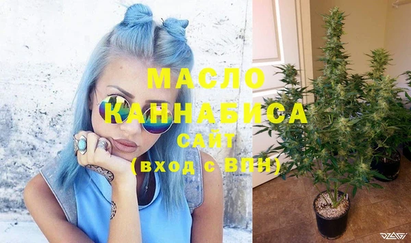 гидропоника Горняк