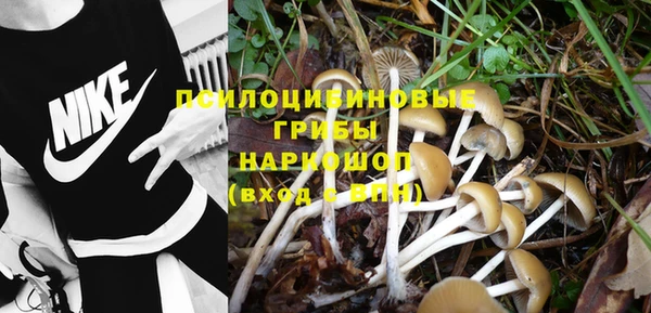 спайс Горно-Алтайск