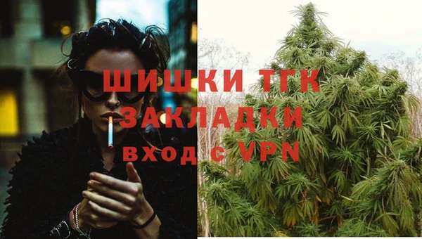 скорость Гусь-Хрустальный