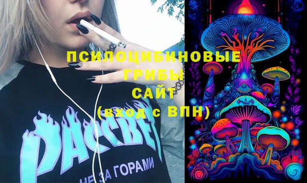 гидропоника Горняк