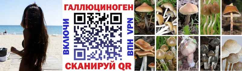 Купить где  Великие Луки  Галлюциногенные грибы мухоморы 